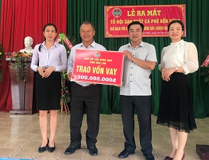 Ra mắt Tổ hội sản xuất cà phê bền vững