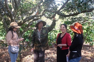 Mô hình HTX Trái cây ở Ea H'leo giúp nâng cao chất lượng cuộc sống người dân