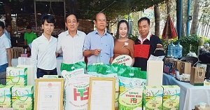 Sản phẩm gạo sạch của hợp tác xã dịch vụ tổng hợp nông nghiệp Thăng Bình