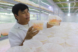 Krông Pắc phát huy lợi thế OCOP