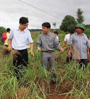 Thực hiện Chương trình OCOP: Phát huy những lợi thế sẵn có