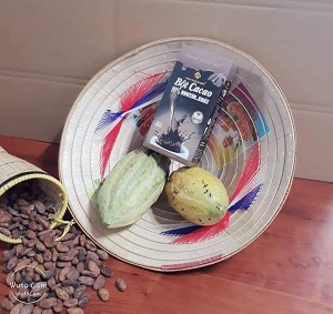 Bột ca cao nguyên chất Nam Trường Sơn