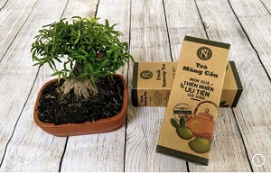 Trà Mãng cầu Nguyễn Văn