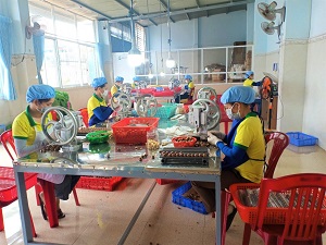 Nỗ lực vươn lên làm giàu bền vững