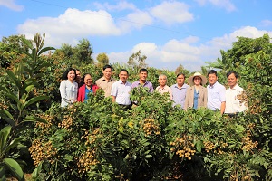 Quả ngọt từ mô hình “ Nhãn Hương Chi”