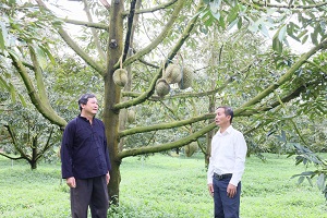 Sức mạnh nội lực cho xây dựng nông thôn mới