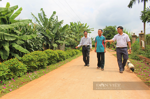 Khởi sắc diện mạo nông thôn mới từ phong trào thi đua "Đắk Lắk chung sức xây dựng nông thôn mới"