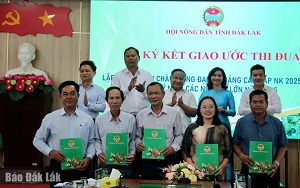 Hội Nông dân tỉnh phát động thi đua năm 2025
