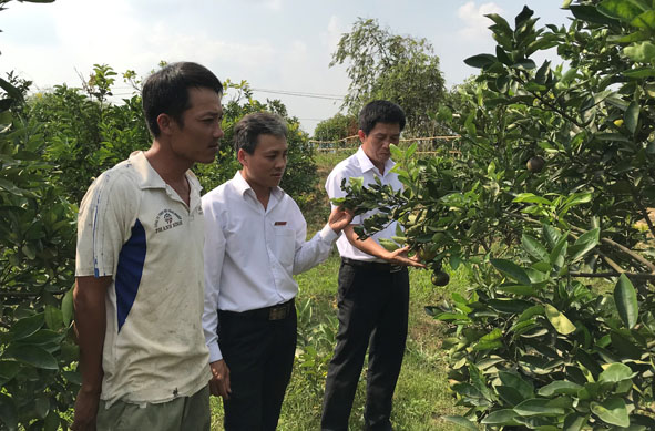 Vấn nạn "tín dụng đen": Nhận diện đúng để có giải pháp hữu hiệu