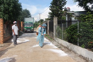 Nguy cơ dịch tả heo châu Phi bùng phát trên diện rộng